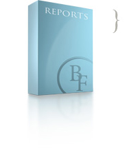 Business Reporting Product